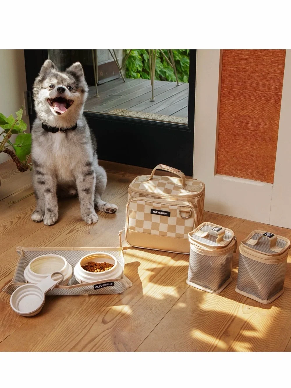 NWT Large Bistro Box Dog Food Travel Kit